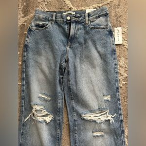 *NEVER WORN BEFORE, NEW WITH TAGS!         Size 25 Pacsun Boyfriend Jeans